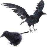 Realistic Feathered Crows Halloween Decorations – Set of 2 – Scary Home Decor