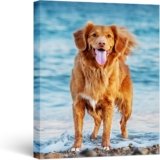 WEGA Custom Canvas Prints with Your Photos(12” W X 16” H Framed) Personalized Canvas Wall Art for Bedroom,Living Room,HomeOffice,Chrismas Photo Gifts for Mom,Women,Family