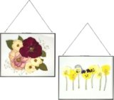 Beedecor Double Glass Frame for Pressed Flowers, Leaf and Artwork Set of 2 Hanging Picture Frames, Tempered Glass Floating Pressed Flower Frames, Large Rectangular Wall Decor Photo Display, Clear